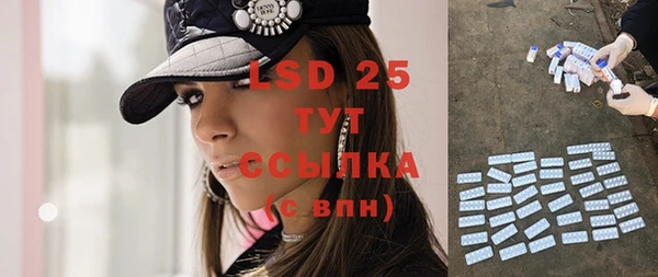 ПСИЛОЦИБИНОВЫЕ ГРИБЫ Няндома