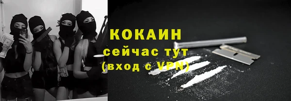 ПСИЛОЦИБИНОВЫЕ ГРИБЫ Няндома