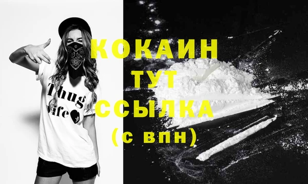 ПСИЛОЦИБИНОВЫЕ ГРИБЫ Няндома