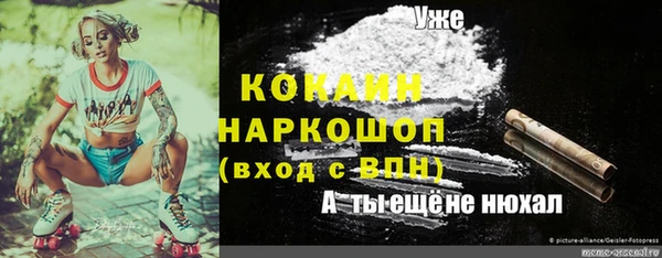 ПСИЛОЦИБИНОВЫЕ ГРИБЫ Няндома