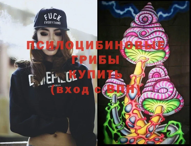 Галлюциногенные грибы Psilocybine cubensis  KRAKEN ТОР  Лангепас 