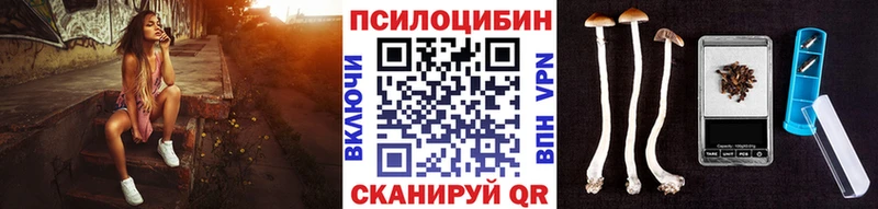 Галлюциногенные грибы Psilocybine cubensis  Лангепас 