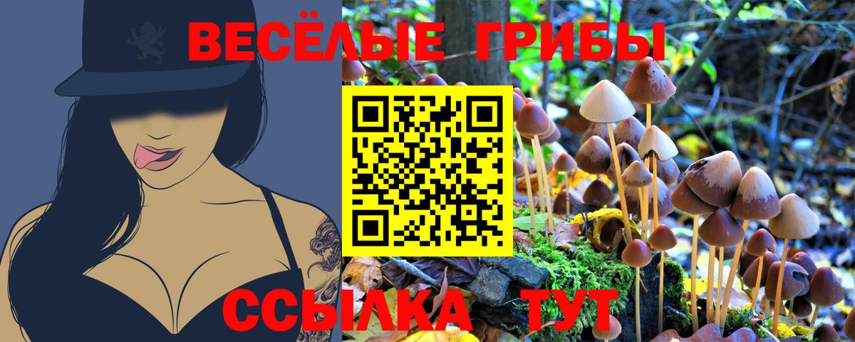 Псилоцибиновые грибы Cubensis  Галлюциногенные грибы Magic Shrooms  Лангепас  Вход с VPN 